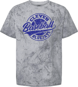 Clever Bluejay Baseball Mineral Wash T-shirt