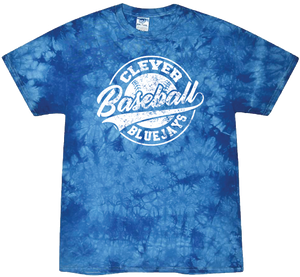 Clever Bluejay Baseball Mineral Wash T-shirt